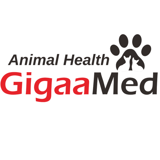 GIGAA Veterinary | Veterinary Laser Manufacturer & OEM Solutions